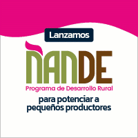 Publicidades